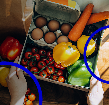 Substâncias químicas adicionadas nos alimentos podem causar obesidade