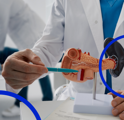 Medicamentos agonistas GLP-1: quais são eles e por que são controlados pela ANVISA